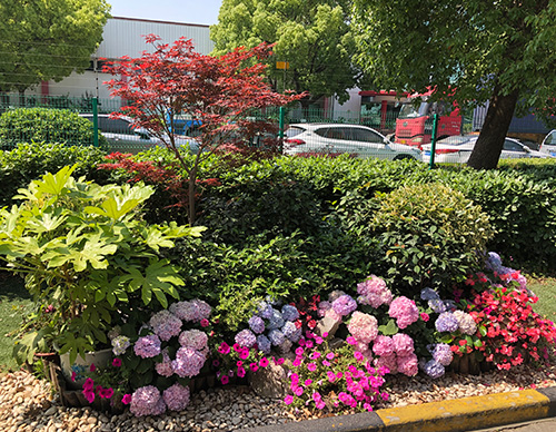 造景花坛