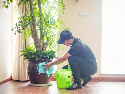 植物租赁
