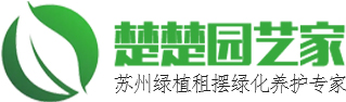 楚楚园艺家
