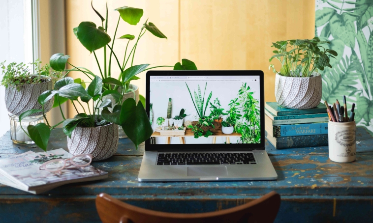 绿植租赁的未来趋势与发展方向：苏州楚楚园艺家引领新时代 
