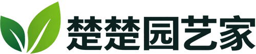 楚楚园艺家